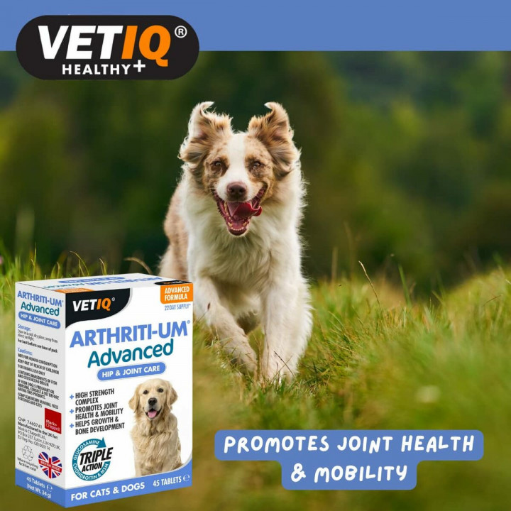 Supplementen en vitaminen Mark & Chappell VETIQ ARTHRITI-UM ADVANCED