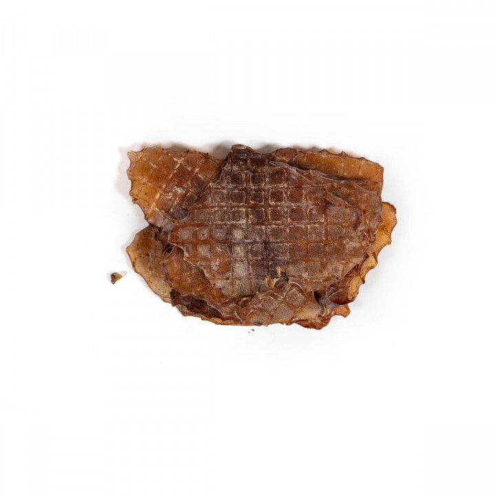 Wet food Snackys Fish 600 g