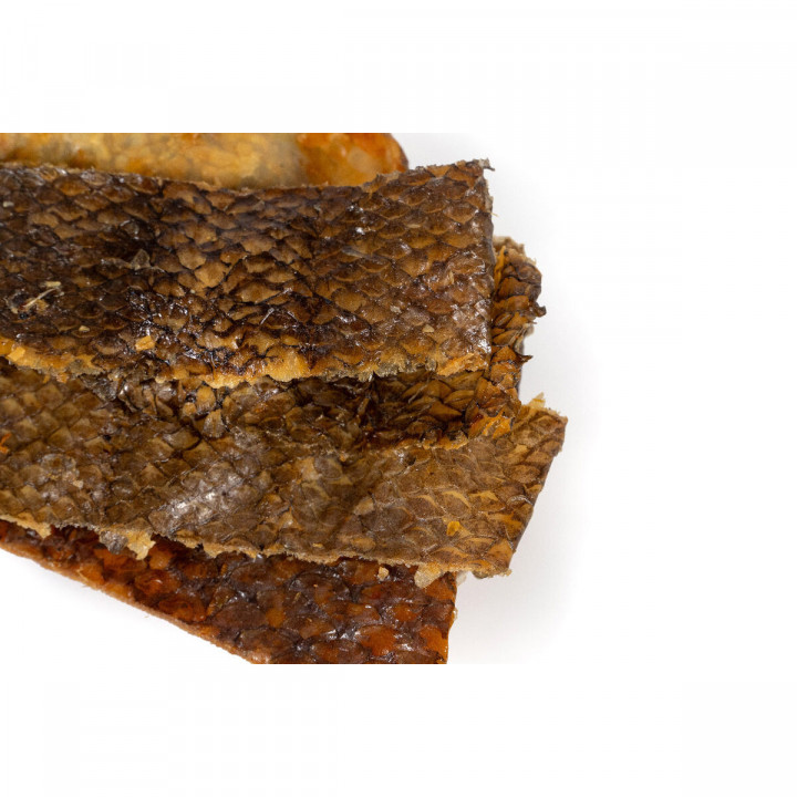 Natvoer Snackys Vis 70 g