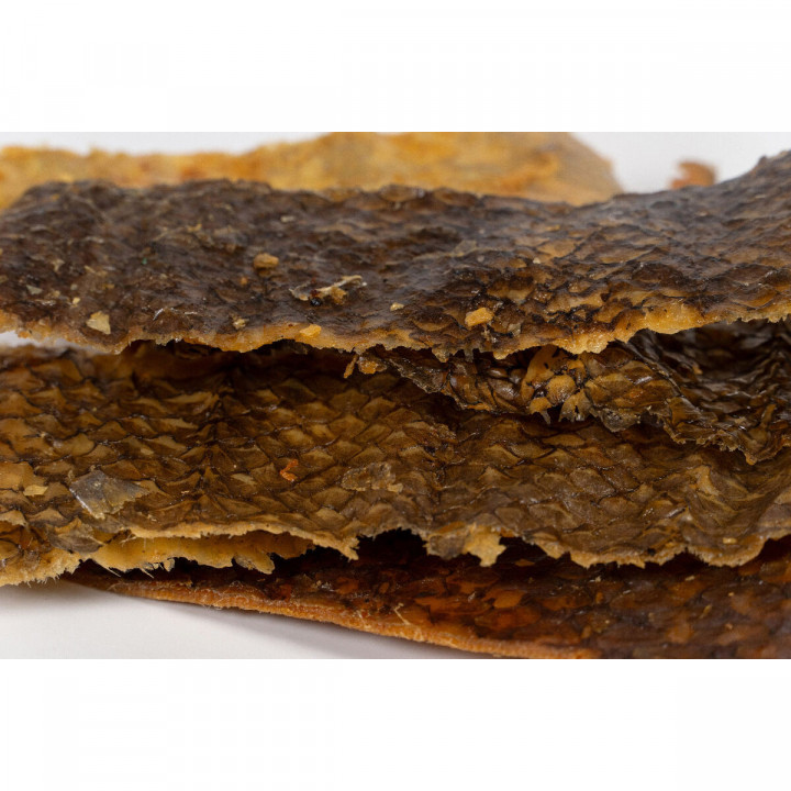 Alimentation humide Snackys Poisson 70 g