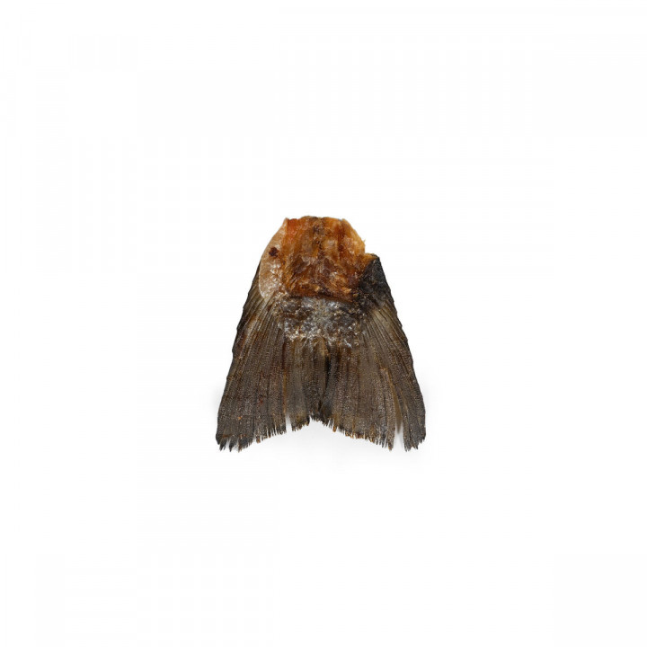 Wet food Snackys Fish 85 g