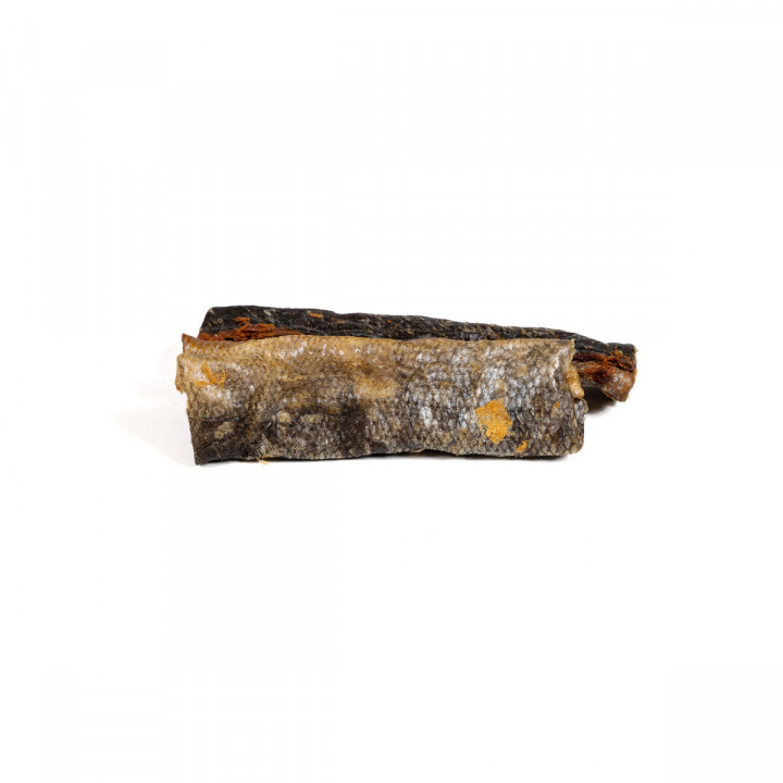 Natvoer Snackys Vis 70 g