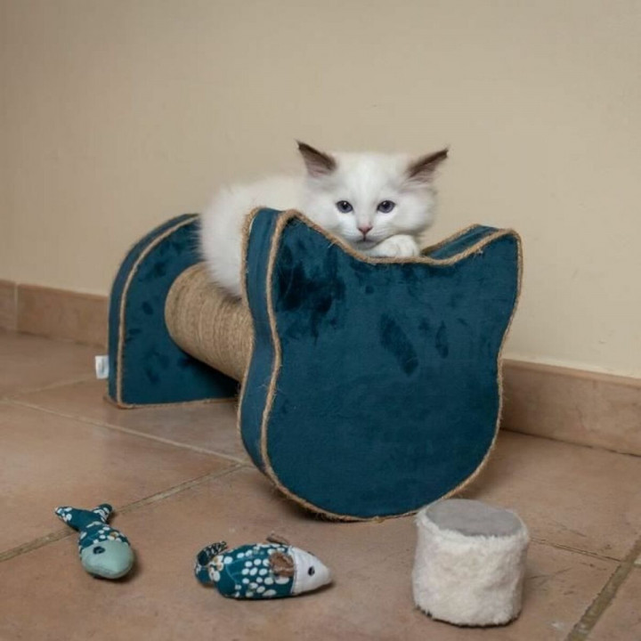 Krabpaal voor Katten Tyrol Blauw Karton 44 x 22 x 21 cm