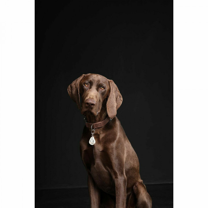 Insect repellant Tickless