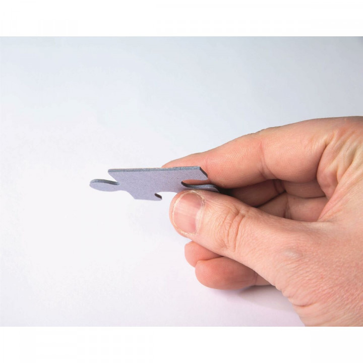 Puzzel Clementoni Jurassic World 300 Onderdelen