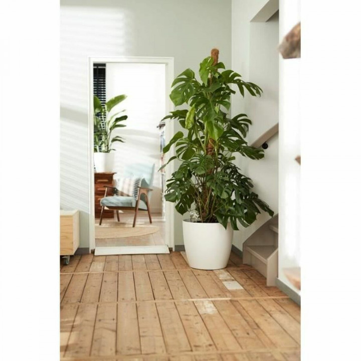 Pottenset Elho Wit Plastic Cirkelvormig 2 Onderdelen