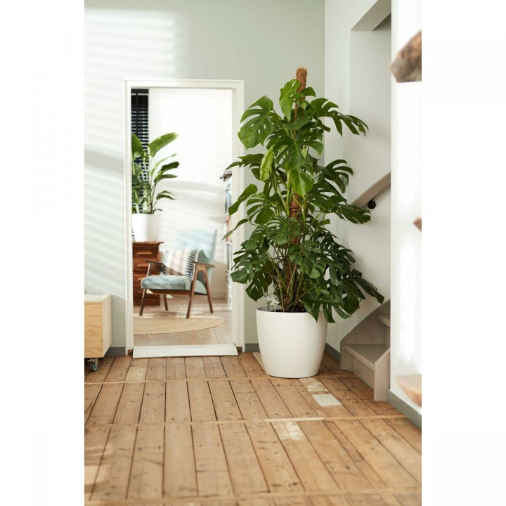 Set de pots Elho Blanc Plastique Rond 2 Pièces