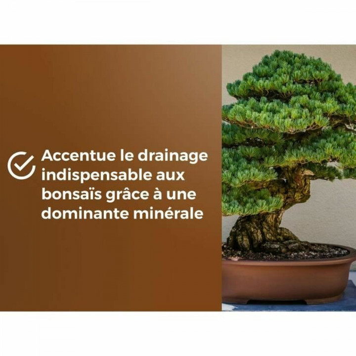 Terriccio OR BRUN BROWN GOLD 6 L