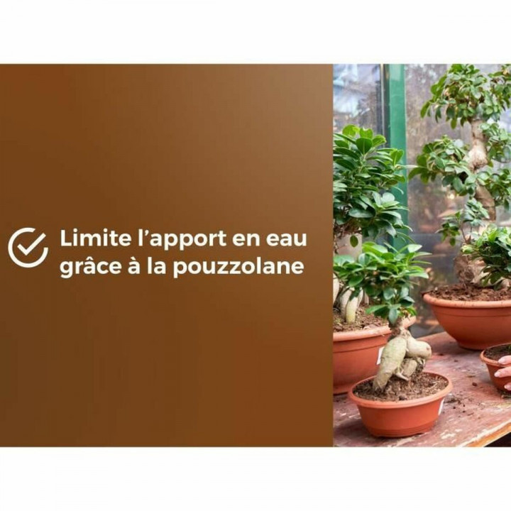 Terreau d'empotage OR BRUN BROWN GOLD 6 L