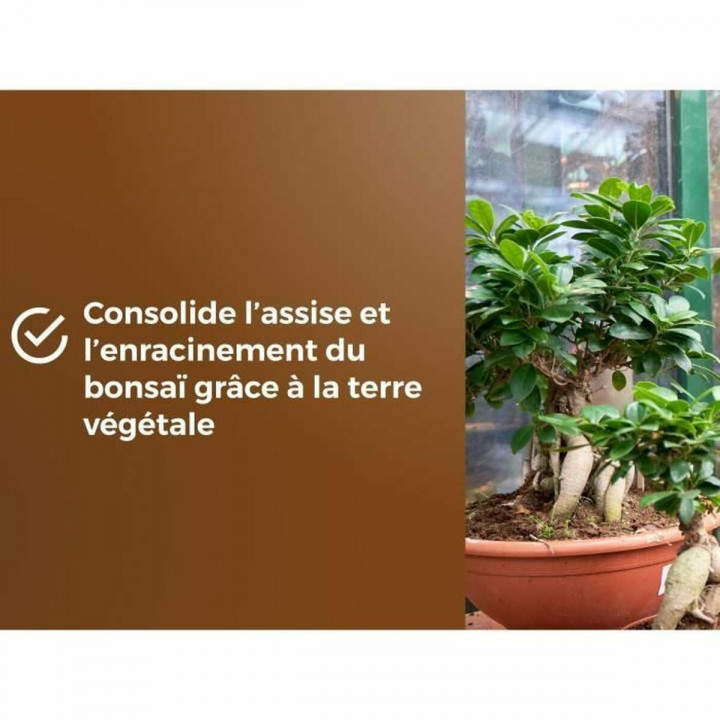 Terreau d'empotage OR BRUN BROWN GOLD 6 L