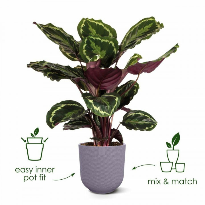 Maceta Elho Jazz Blanco Lila Plástico Redondo 3 Piezas