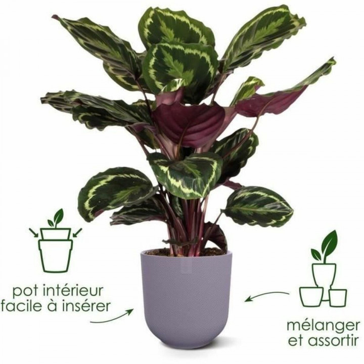 Pot Elho Jazz Blanc Lila Plastique Rond 3 Pièces