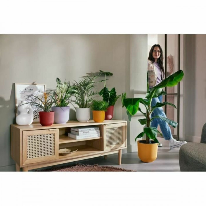 Pot Elho Jazz Blanc Lila Plastique Rond 3 Pièces