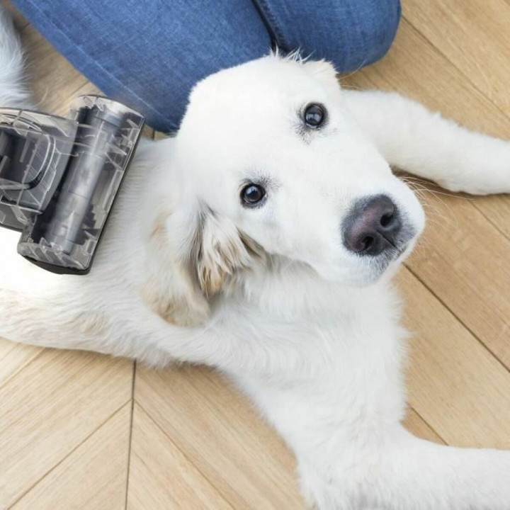 Aspirapolvere Hkoenig Nero