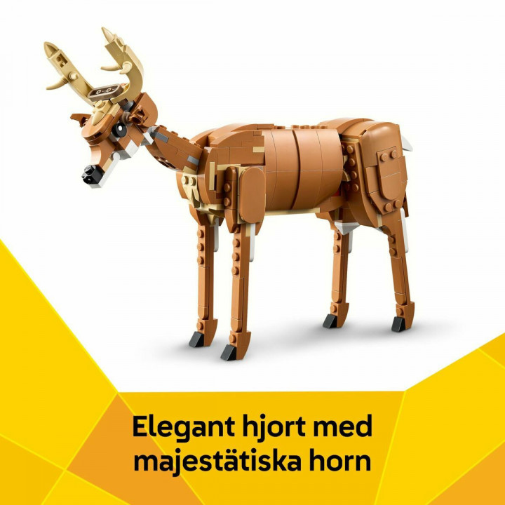 Bouwspel Lego CREATOR 31166 Beautiful Horse