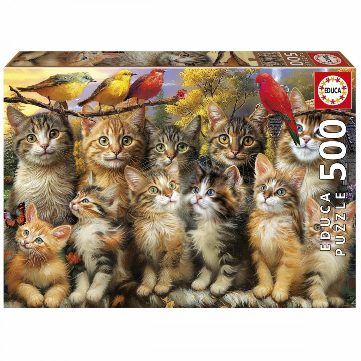 Puzzel Educa Gatitos y Pájaros 500 Onderdelen