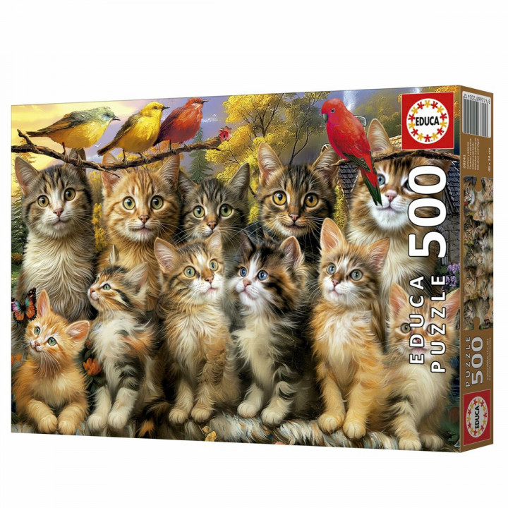 Puzzle Educa Gatitos y Pájaros 500 Pieces