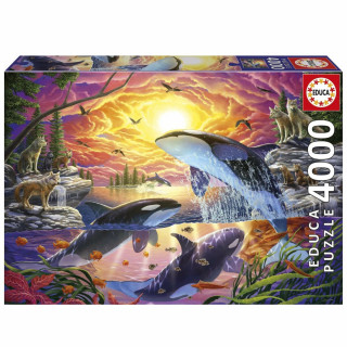 Puzzle Educa Orcas y Lobos 4000 Piezas