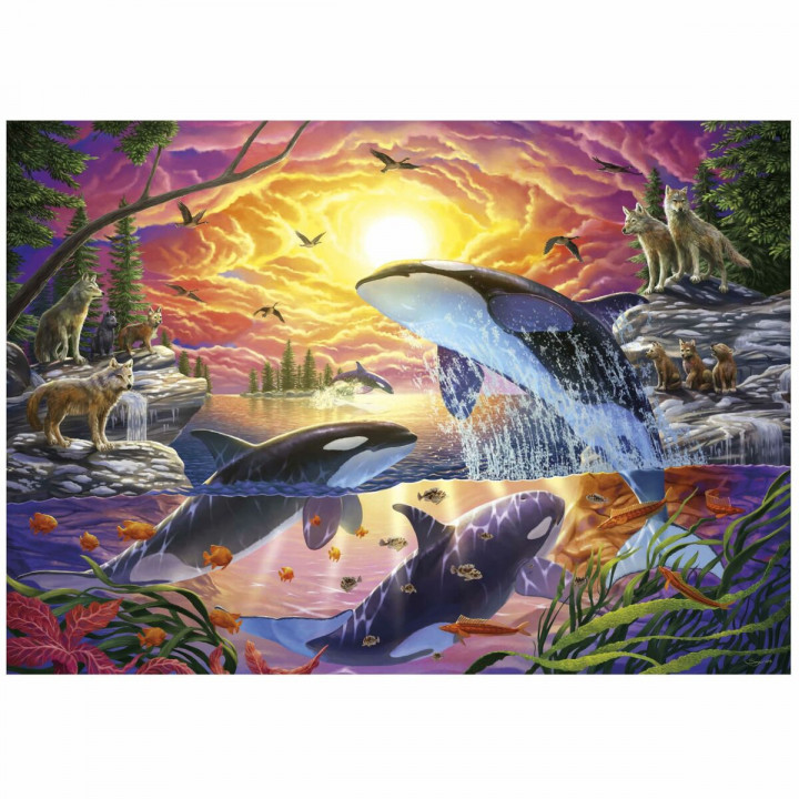 Puzzle Educa Orcas y Lobos 4000 Pezzi