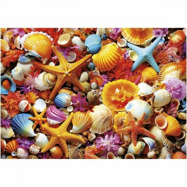 Puzzle Educa Collage de Conchas 1000 Piezas