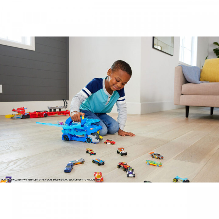 Goniometro Hot Wheels