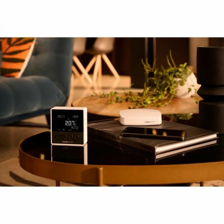 Thermostaat Home Pilot