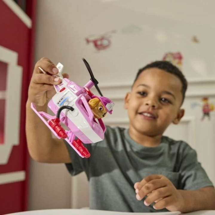 Personaggi d'Azione Spin Master Paw Patrol