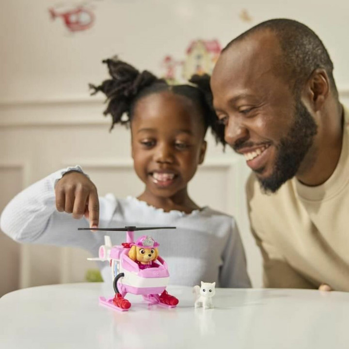 Actiefiguren Spin Master Paw Patrol