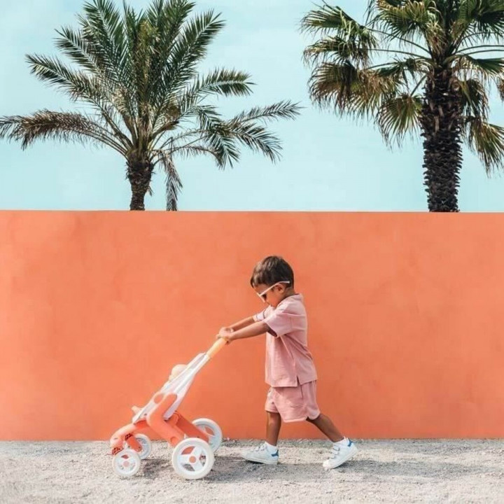 Set de Limpieza Smoby