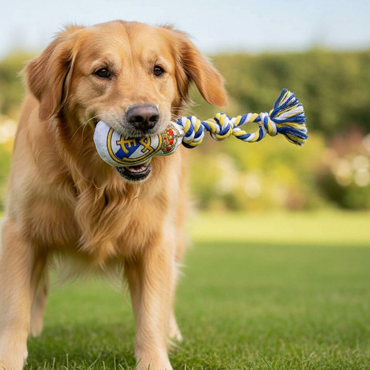 Giocattoli per cani Real Madrid C.F. Bianco 15 x 33 x 10 cm