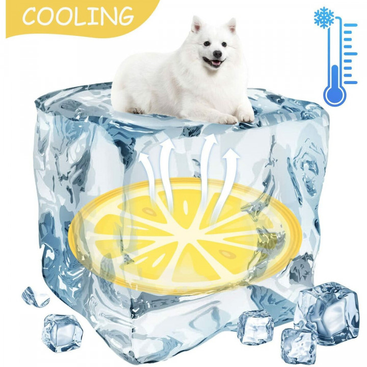 Kühlmatte für Haustiere Mascow Orange (Restauriert B)