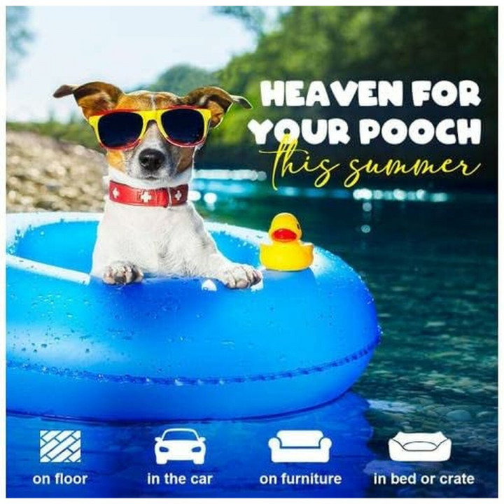 Kühlmatte für Haustiere Mascow Orange (Restauriert B)