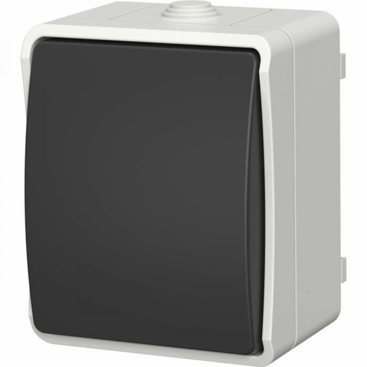 Interruptor pulsador GAO