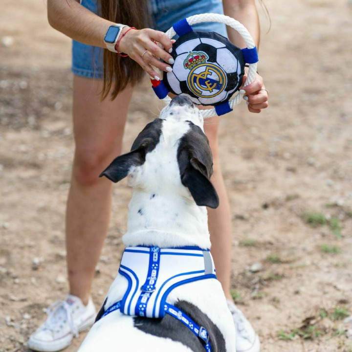 Frisbee Real Madrid C.F. White 22,0 x 22,0 x 6,0 cm