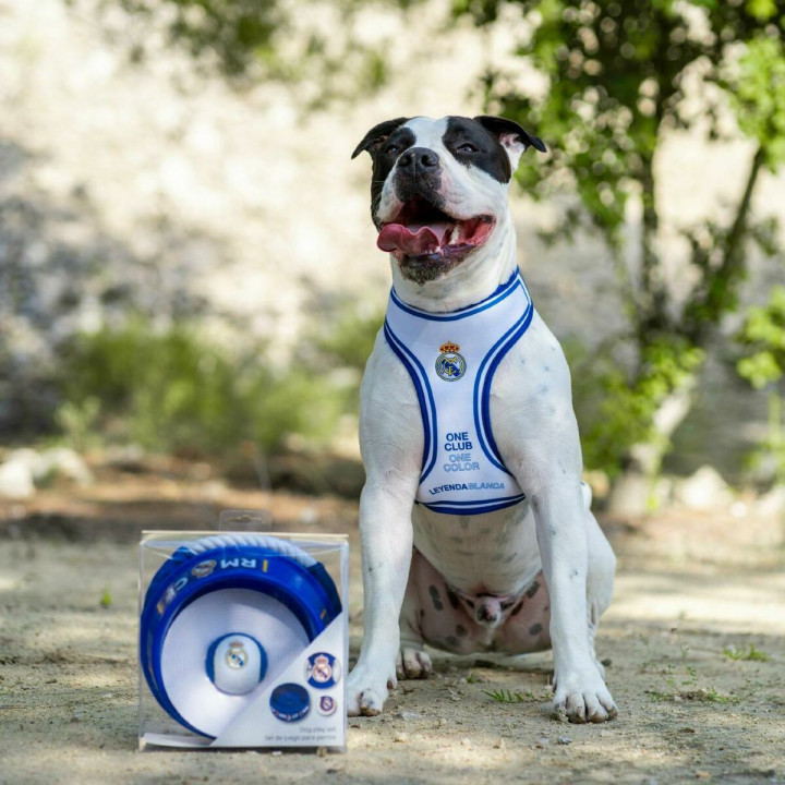 Welcome Gift Set for Dogs Real Madrid C.F. Blue 21,0 x 21,0 x 8,8 cm 3 Pieces