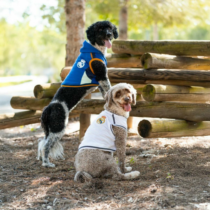 Dog Jumper Real Madrid C.F. White XS