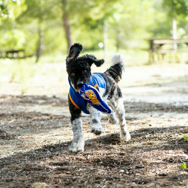 Juguete para perros Real Madrid C.F. Azul 10 x 30 x 7 cm