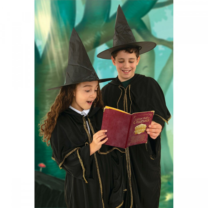 Gioco da Tavolo Dujardin Fabulus Creatures