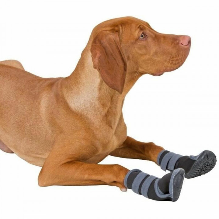 Scarpe per cani Kerbl Nero Grigio S