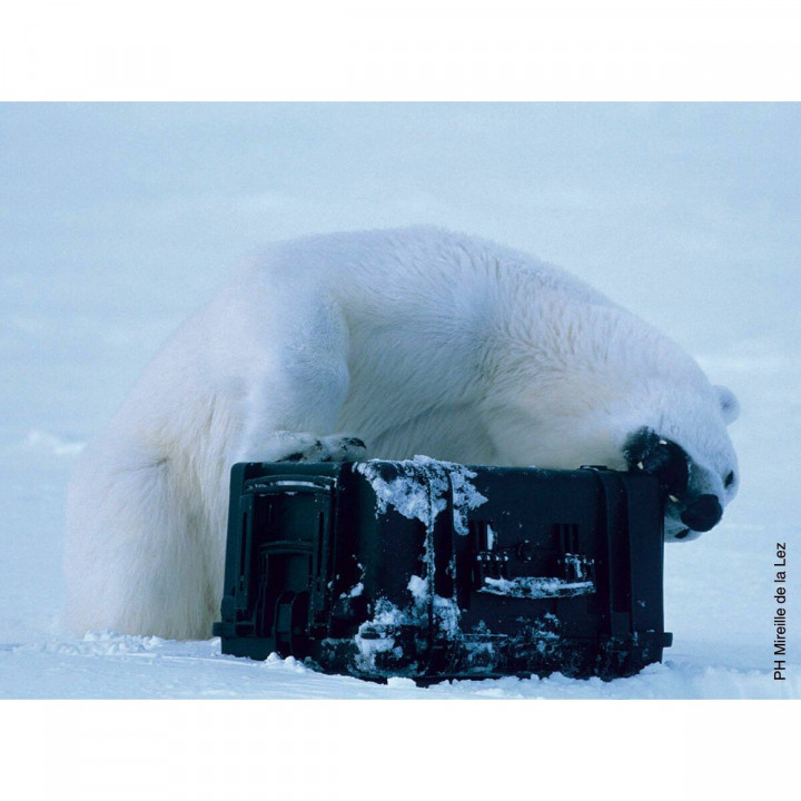 Werkzeugsatz GT Line EXPLORER 5117 54,6 x 34,7 x 19,7 cm Metall Polypropylen