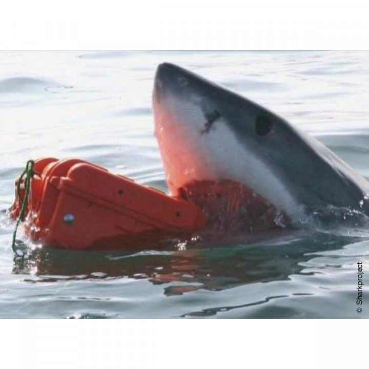 Werkzeugsatz GT Line EXPLORER 7630 86 x 56 x 33 cm Metall Polypropylen 59 L