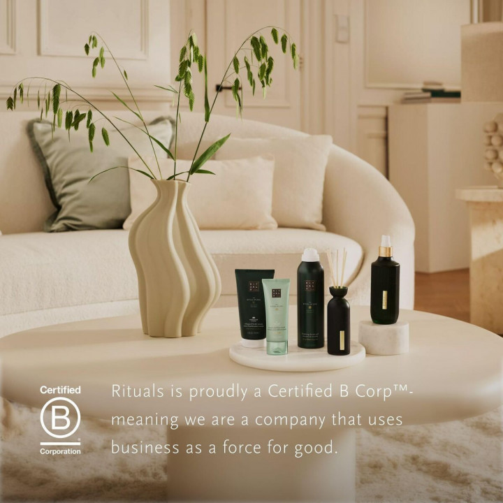 Ambientador Rituals THE RITUAL OF JING