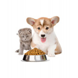 Alimentazione per animali domestici